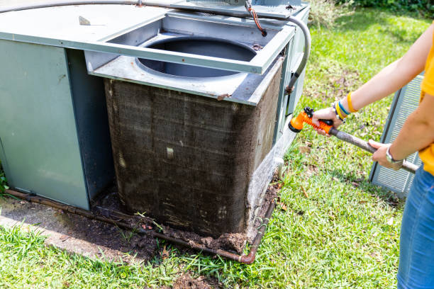 Best Professional Duct Cleaning Services  in Black Diamond, FL