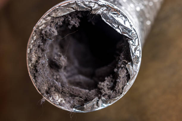 Best Air Duct Cleaning Near Me  in Black Diamond, FL
