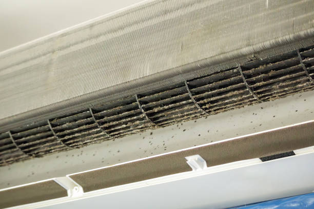 Best Ductwork Cleaning Services  in Black Diamond, FL